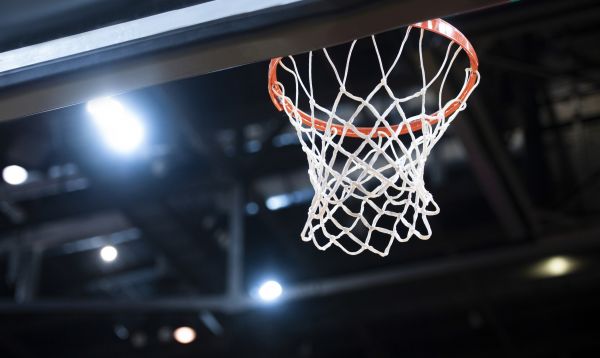 Cost of Basketball Net Installation in Pleasant Grove