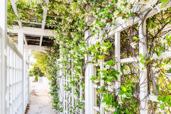 Cost of Trellis Repair in Pleasant Grove