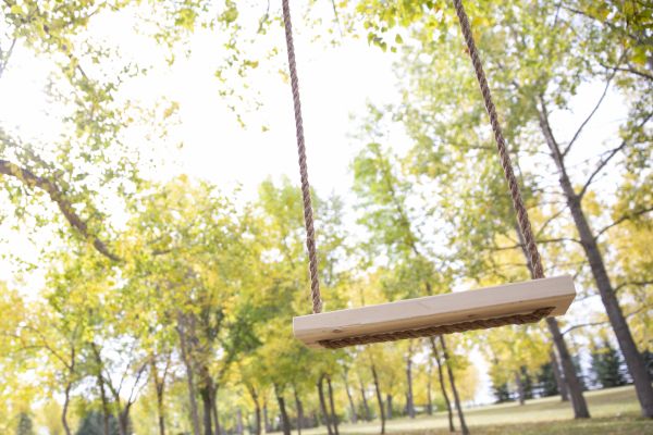 Cost of Tree Swing Installation in Pleasant Grove