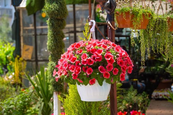 Cost of Hanging Planter Installation in Pleasant Grove