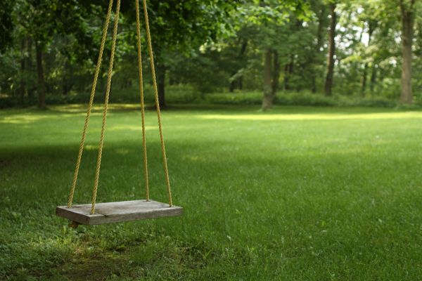 Cost of Rope Swing Installation in Pleasant Grove