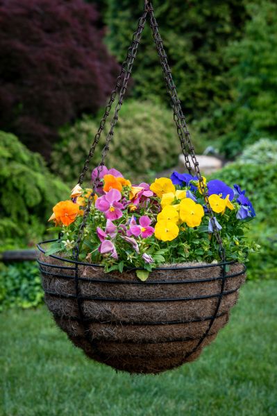 Cost of Hanging Basket Installation in Pleasant Grove