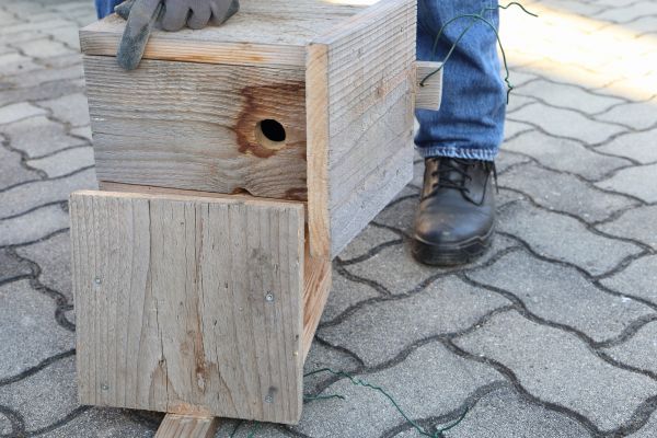 Cost of Birdhouse Mounting in Pleasant Grove