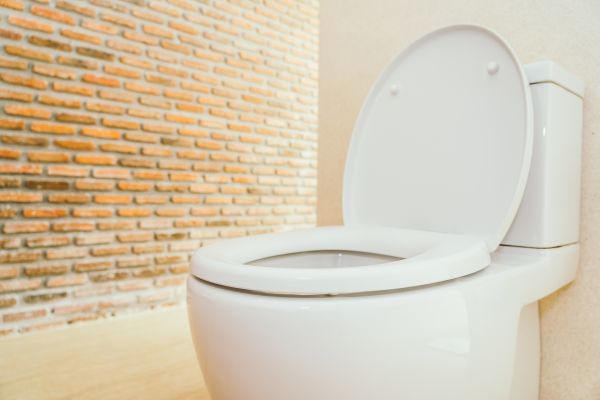 Cost of Toilet Seat Repair in Pleasant Grove